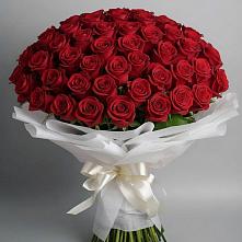 Букет 101 Красная роза Блэк Мэджик в Бердске