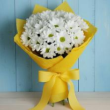 Букет цветов из:  Хризантемы в Бердске