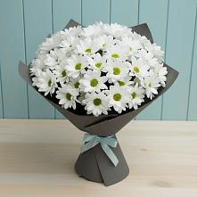 Букет цветов из:  Хризантемы в Бердске