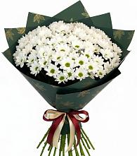 Букет цветов из:  Хризантемы в Бердске