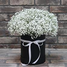 Цветочная композиция из Гипсофила в шляпной коробке в Бердске