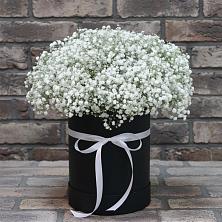 Цветочная композиция из Гипсофила в шляпной коробке в Бердске