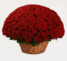 Премиум букет из: Розы в Бердске